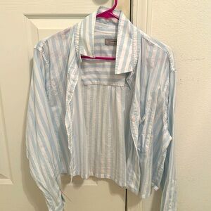 Everlane Striped Boxy Oxford Shirt